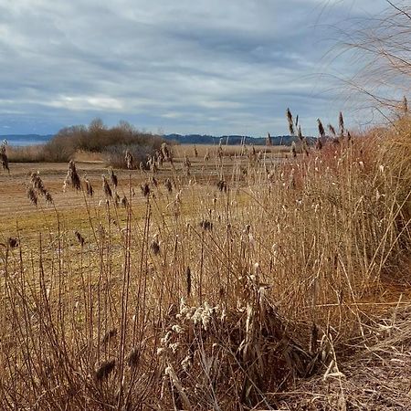 Marxhof Seebruck Am Chiemsee Seeon-Seebruck Εξωτερικό φωτογραφία