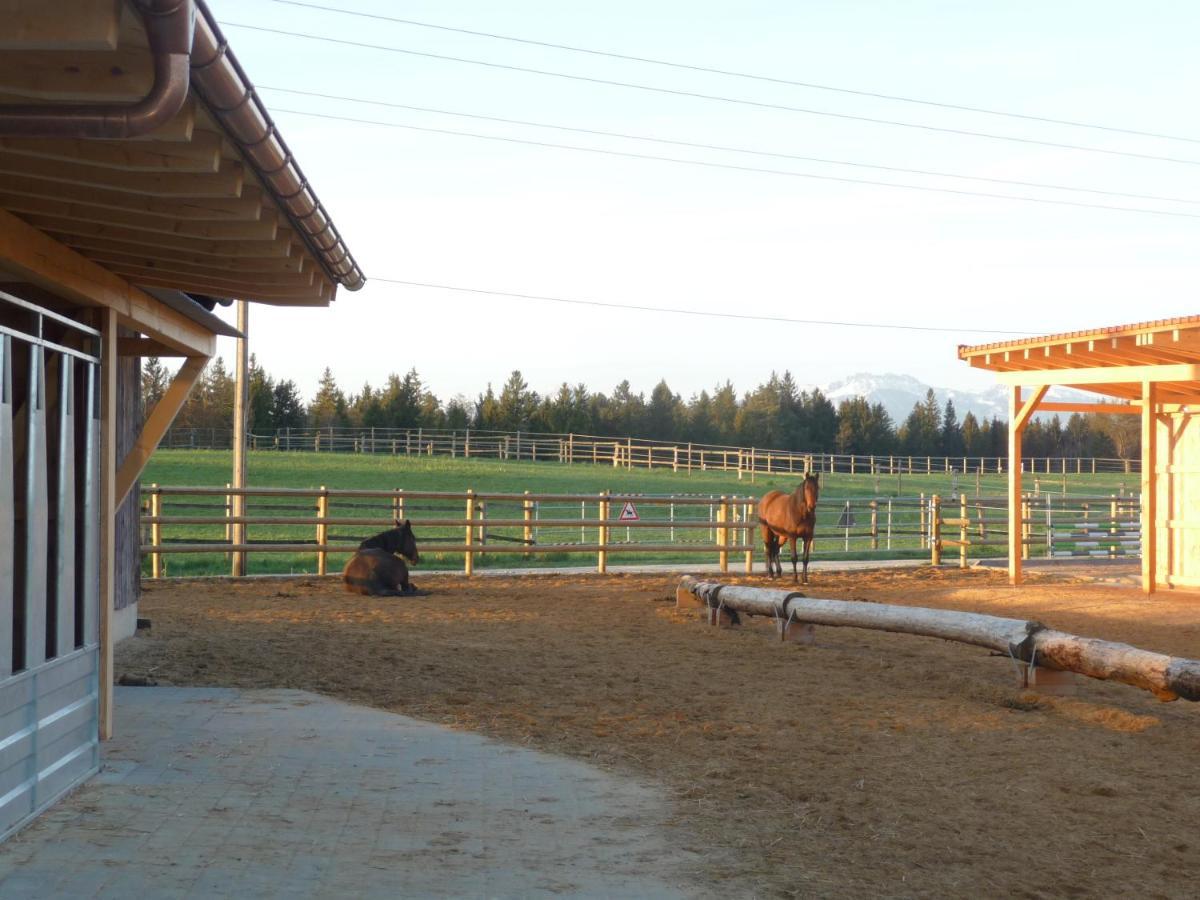 Marxhof Seebruck Am Chiemsee Seeon-Seebruck Εξωτερικό φωτογραφία