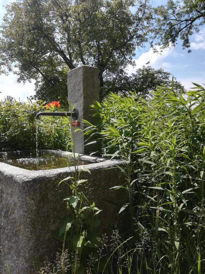 Marxhof Seebruck Am Chiemsee Seeon-Seebruck Εξωτερικό φωτογραφία