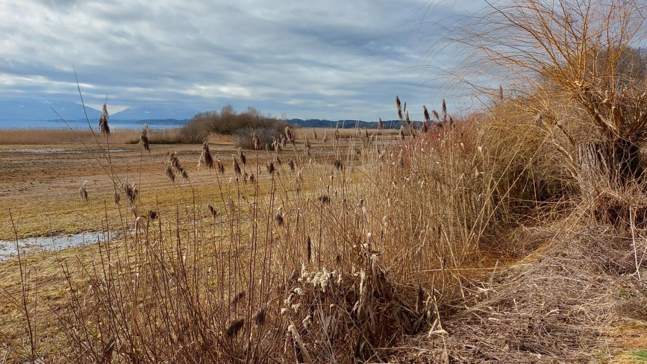 Marxhof Seebruck Am Chiemsee Seeon-Seebruck Εξωτερικό φωτογραφία